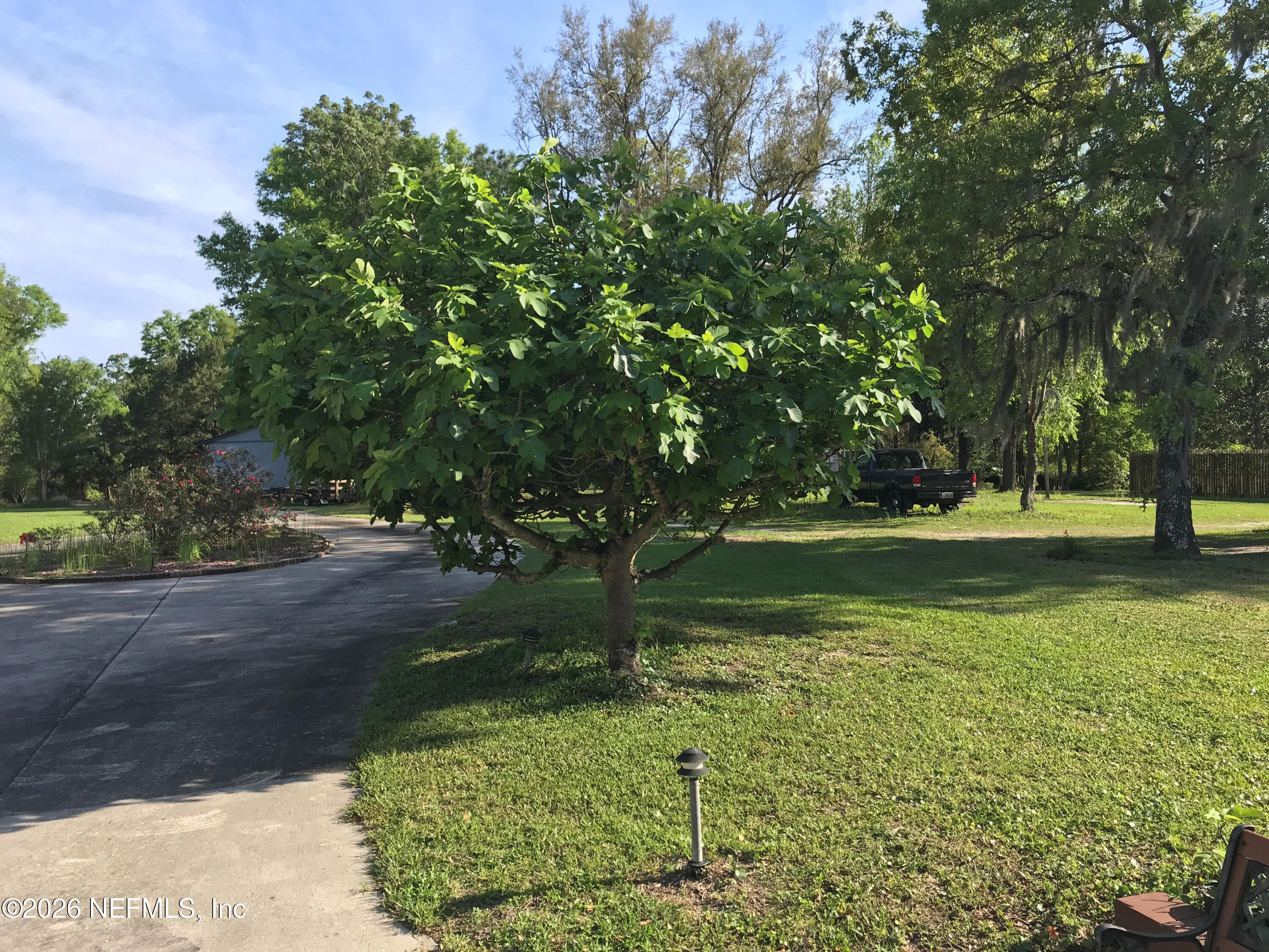 268 Wesley Road Green Cove Springs, FL 32043 - Photo 10 of 84 009FigTree