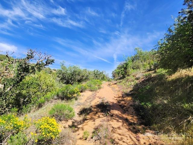 0 High Ridge Road Caliente, CA 93518 - Photo 4 of 8 Gallery Image 4