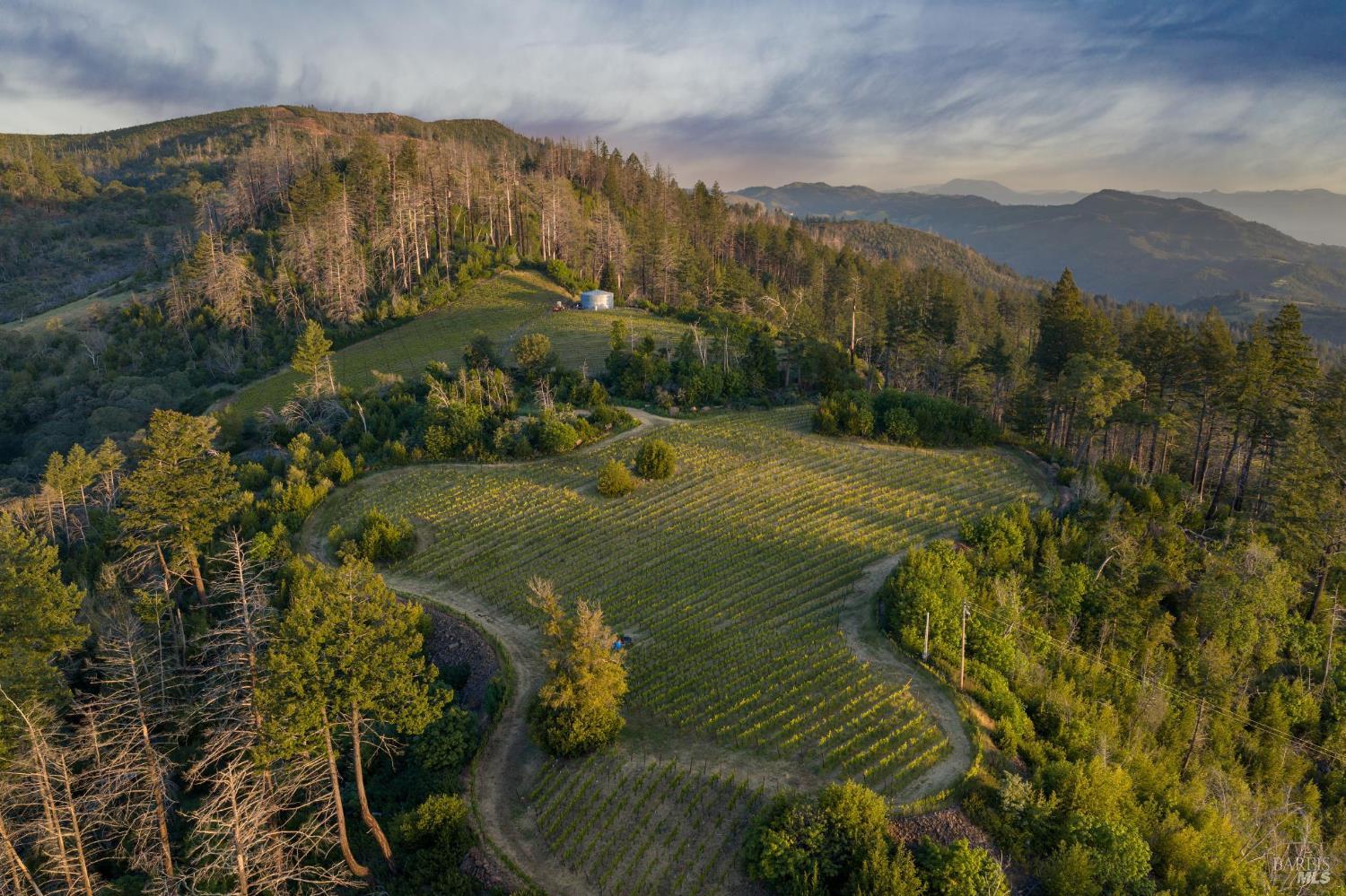 3801 Mt Veeder Road Napa, CA 94558 - Photo 2 of 22
