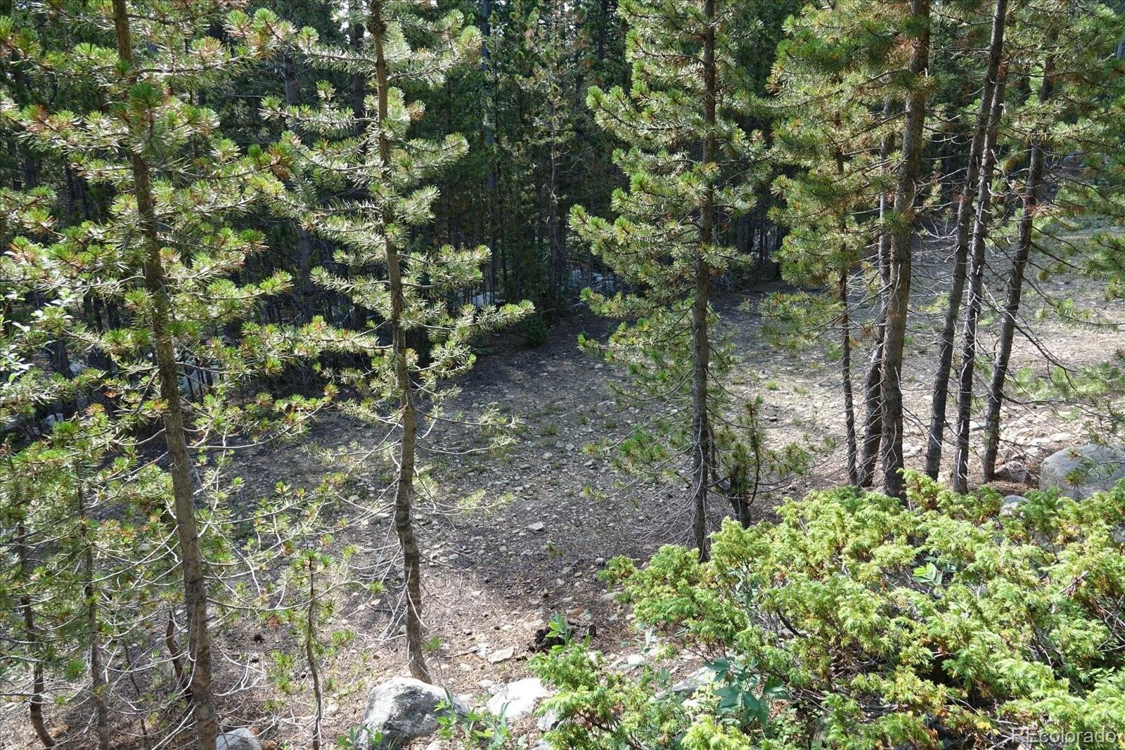 0 Upper Forest Road Idaho Springs, CO 80452 - Photo 18 of 23 Gallery Image 18
