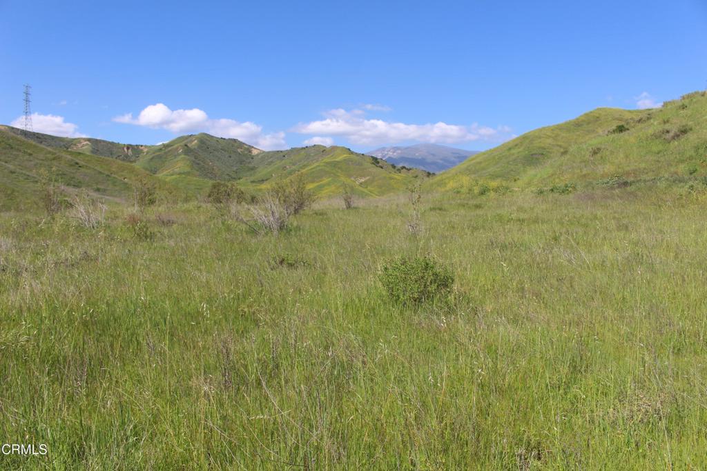 0 Dickenson Road Santa Paula, CA 93060 - Photo 19 of 44 IMG_6118