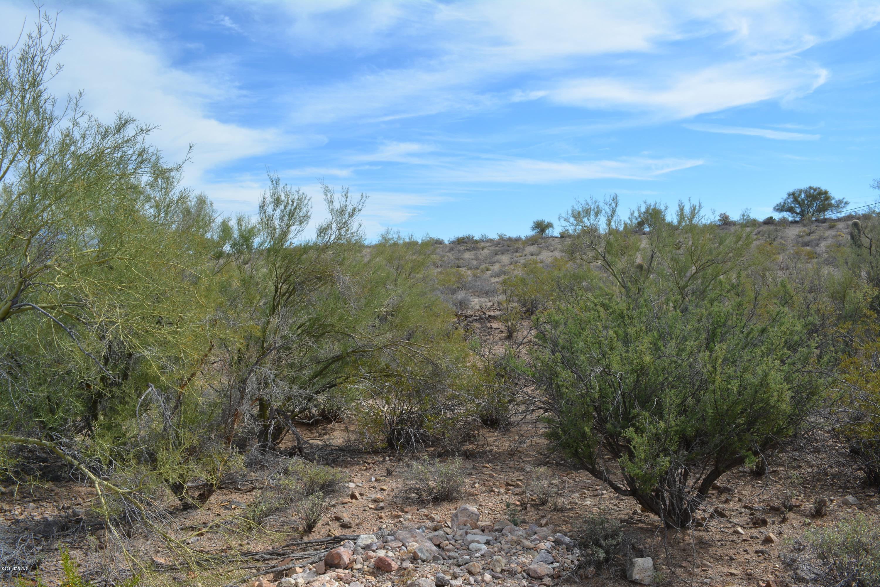 4808 West Sunset Road Tucson, AZ 85743 - Photo 3 of 14 Gallery Image 3