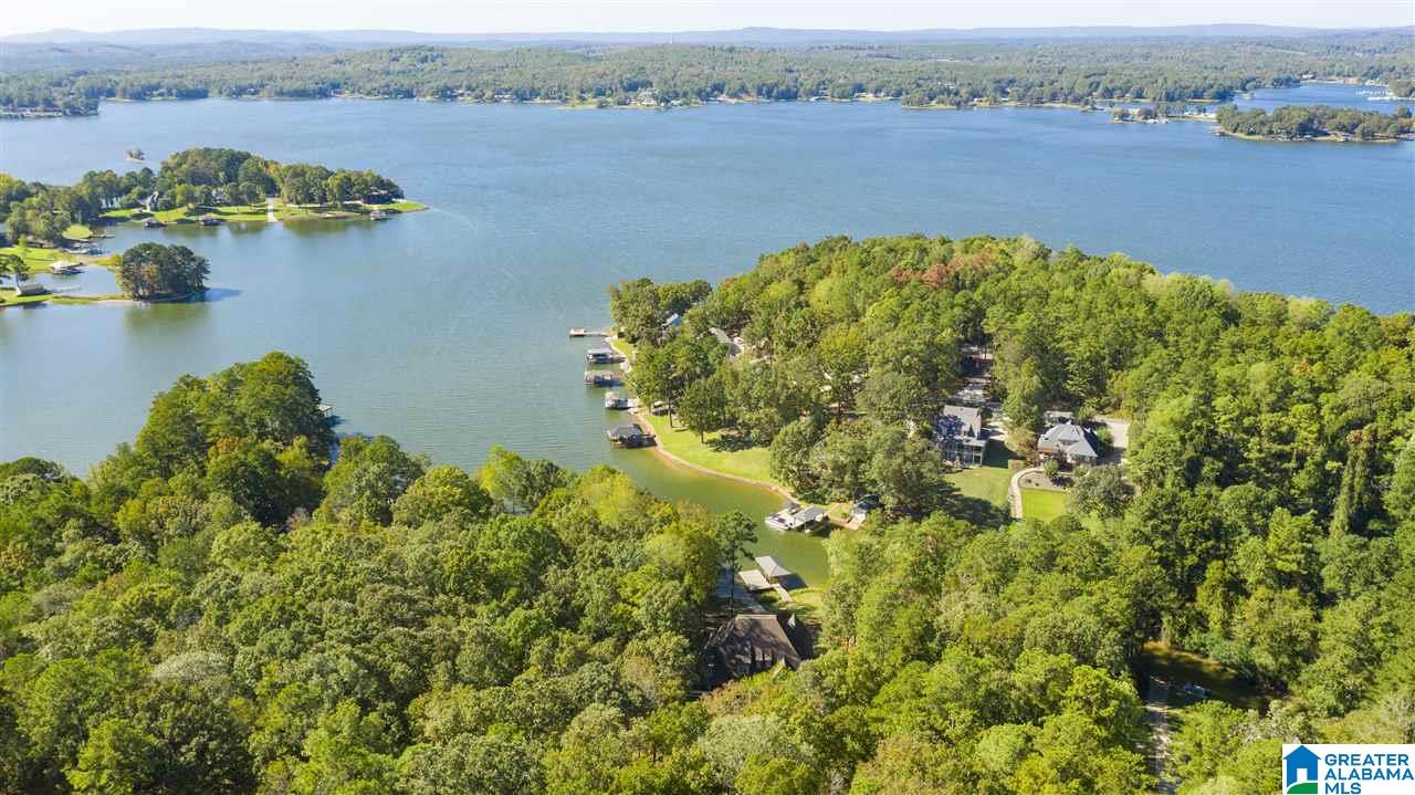 209 Davis Acres Drive Alpine, AL 35014 - Photo 9 of 46