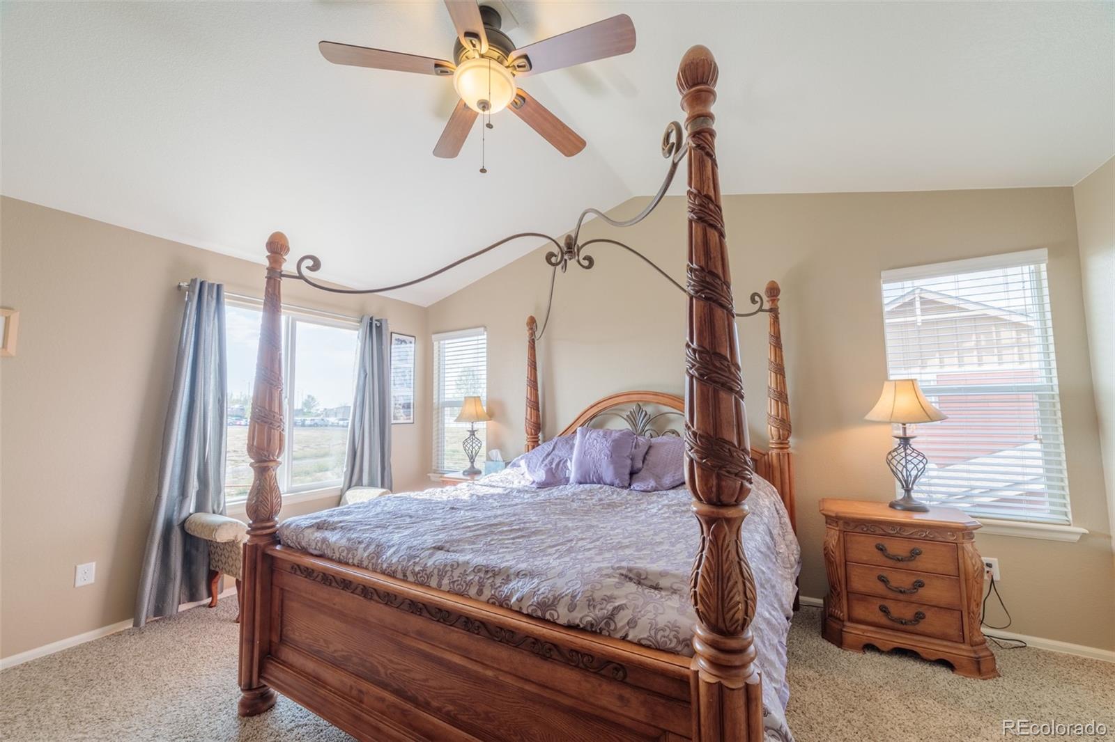 8603 Raspberry Drive Frederick, CO 80504 - Photo 19 of 33