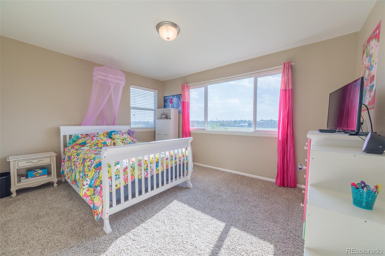 8603 Raspberry Drive Frederick, CO 80504 - Photo 26 of 33