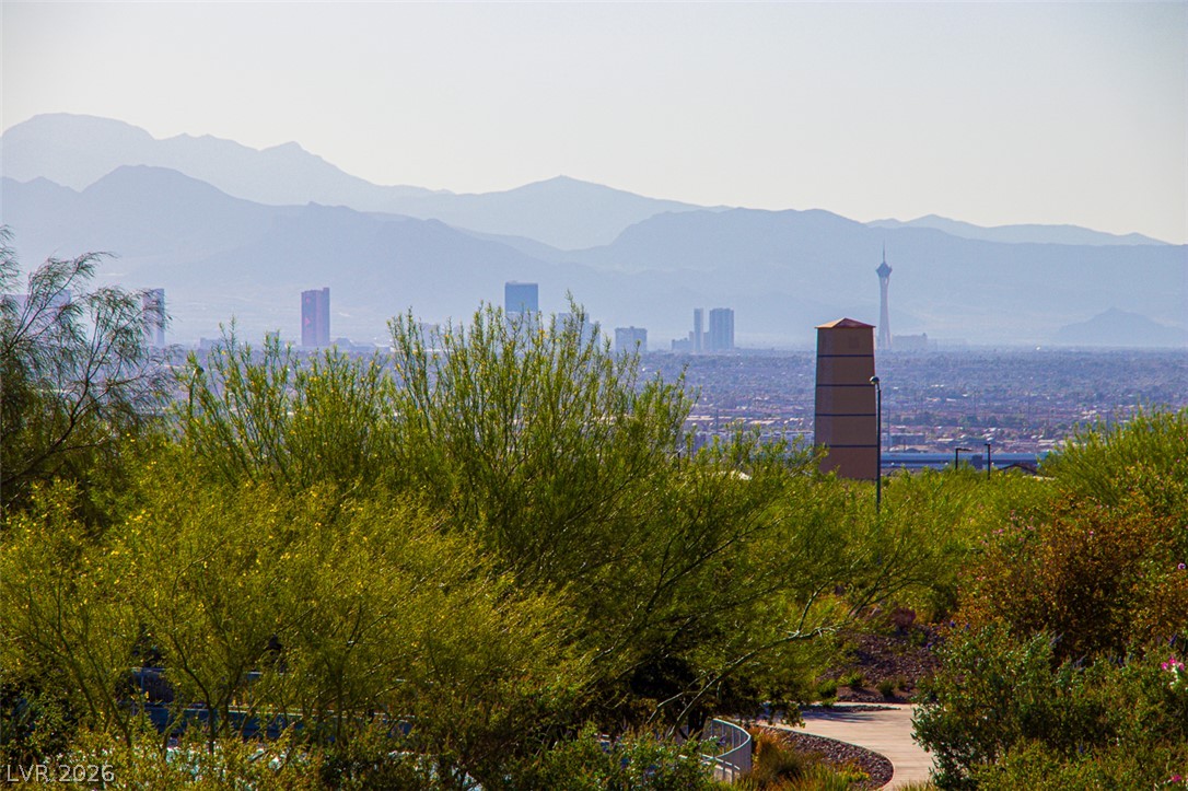 1100 East Sunset Road Henderson, NV 89011 - Photo 57 of 58 Distant city skyline views with mountain backdrops define this elevated residential landscape.