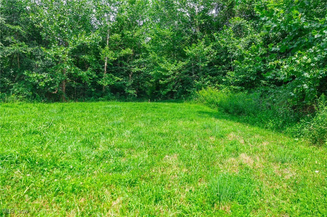 Prider Road Kimbolton, OH 43749 - Photo 11 of 48 View of yard