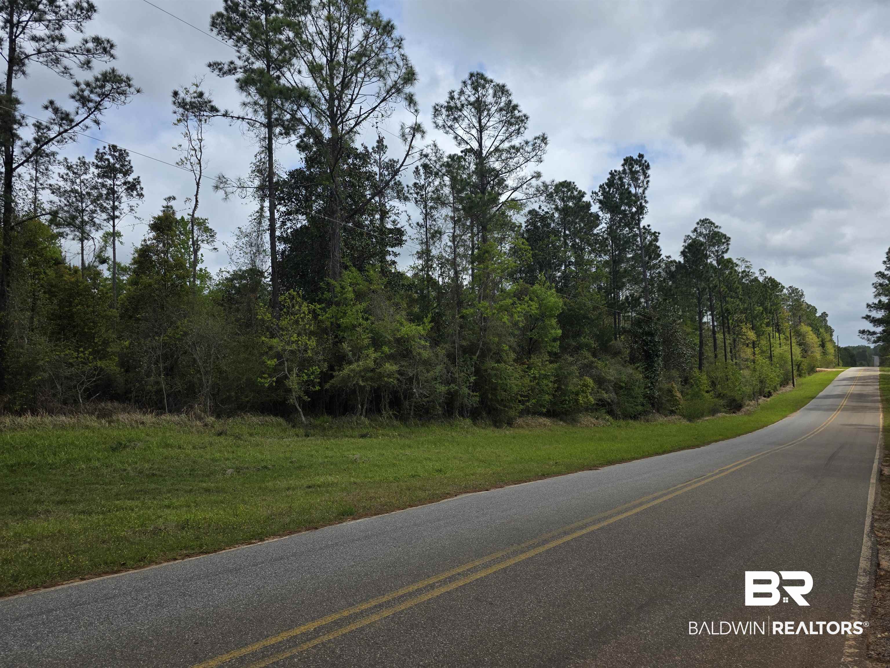 11631 Red Hill Rd Extension Bay Minette, AL 36507 - Photo 15 of 18 View of asphalt road