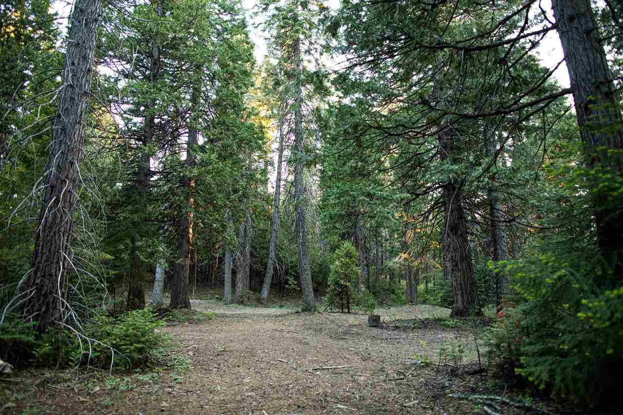 1012 Davis Place Road Mount Shasta, CA 96067 - Photo 12 of 26 Gallery Image 12