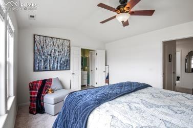 1046 Walters Point Monument, CO 80132 - Photo 15 of 25