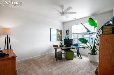 1046 Walters Point Monument, CO 80132 - Photo 20 of 25