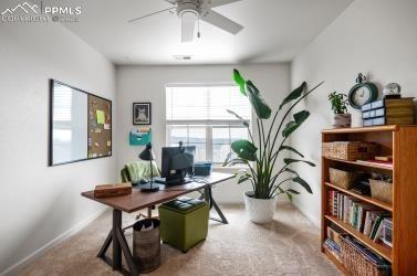 1046 Walters Point Monument, CO 80132 - Photo 21 of 25