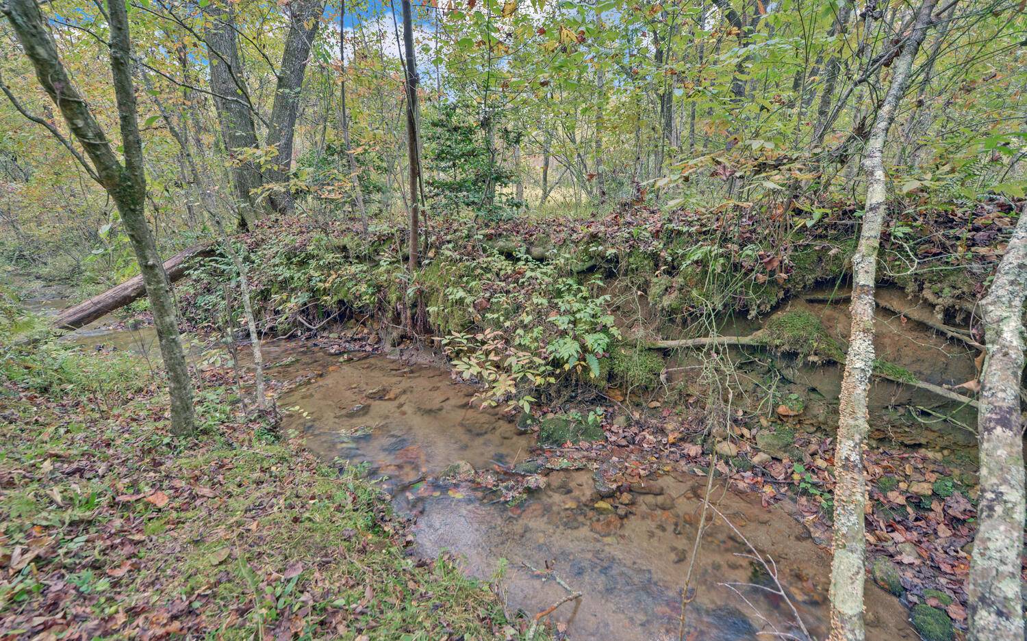 914 West Culberson Road Morganton, GA 30560 - Photo 39 of 41 Additional View