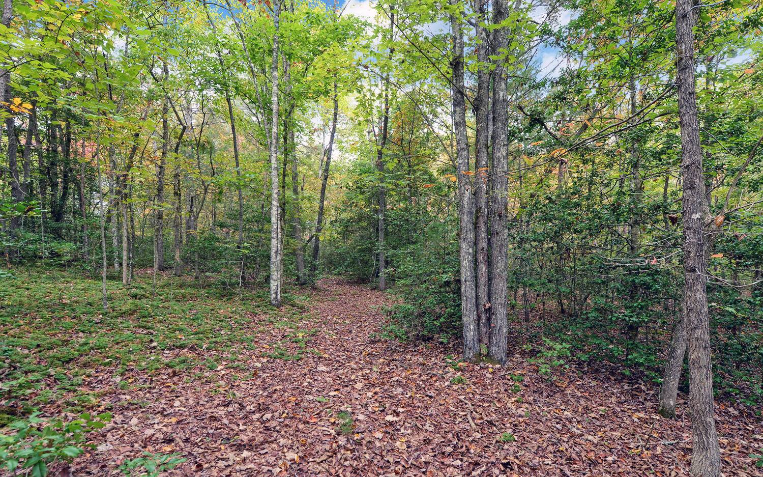 914 West Culberson Road Morganton, GA 30560 - Photo 40 of 41 Additional View