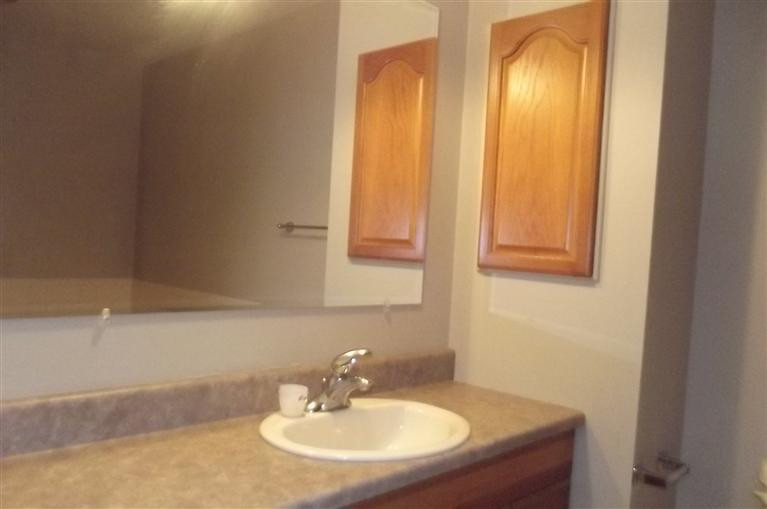 7915 Warner Road Saline, MI 48176 - Photo 11 of 21 Guest bath