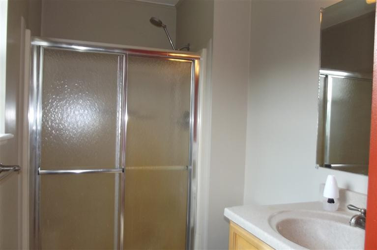 7915 Warner Road Saline, MI 48176 - Photo 8 of 21 Master bath