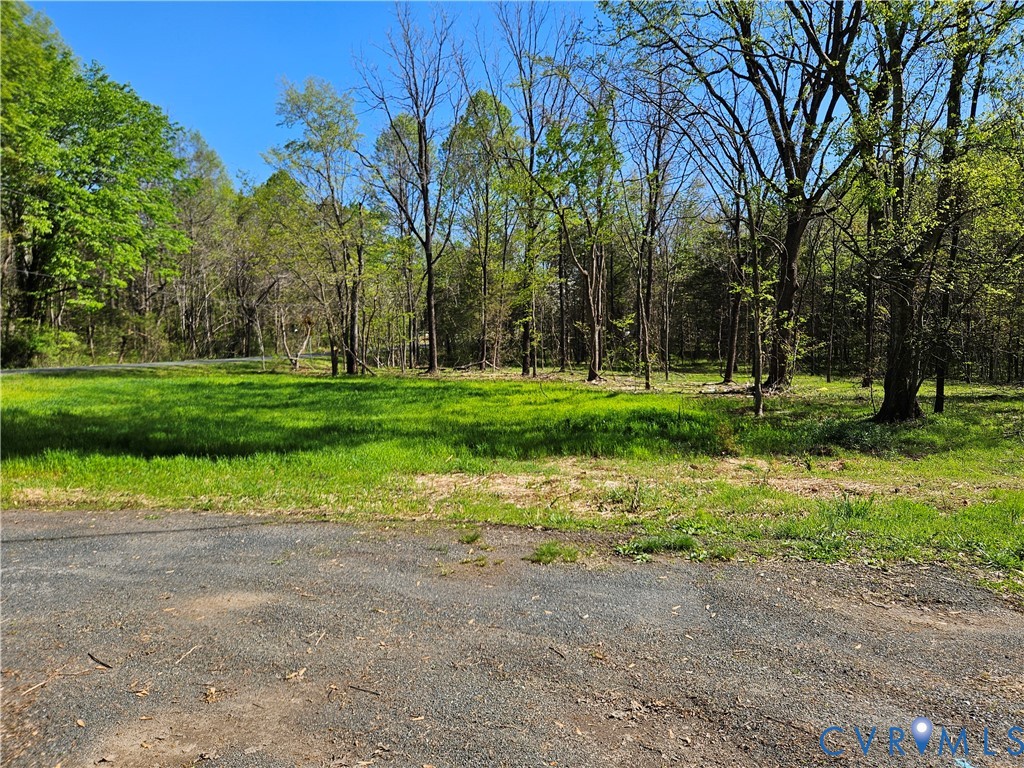 1.4-ac Physic Spring Road Dillwyn, VA 23936 - Photo 3 of 12 Gallery Image 3