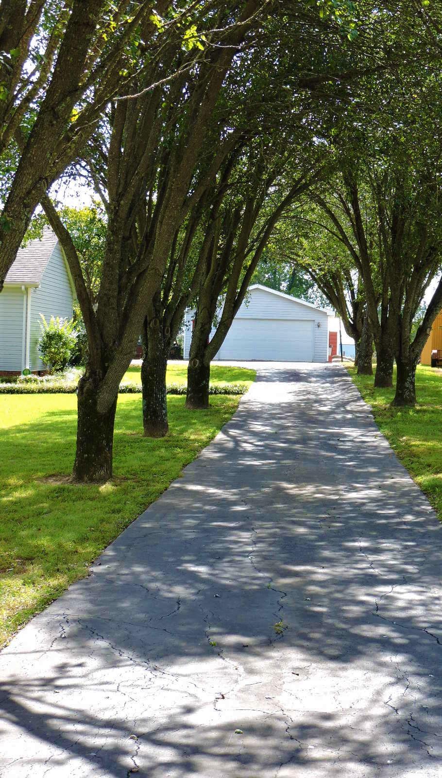 424 Goshen Road Lebanon, TN 37087 - Photo 3 of 29 a view of yard with tree in the background