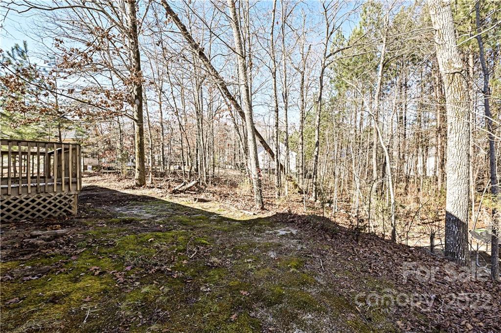 517 Kittiewake Lane Clover, SC 29710 - Photo 29 of 30 a view of yard