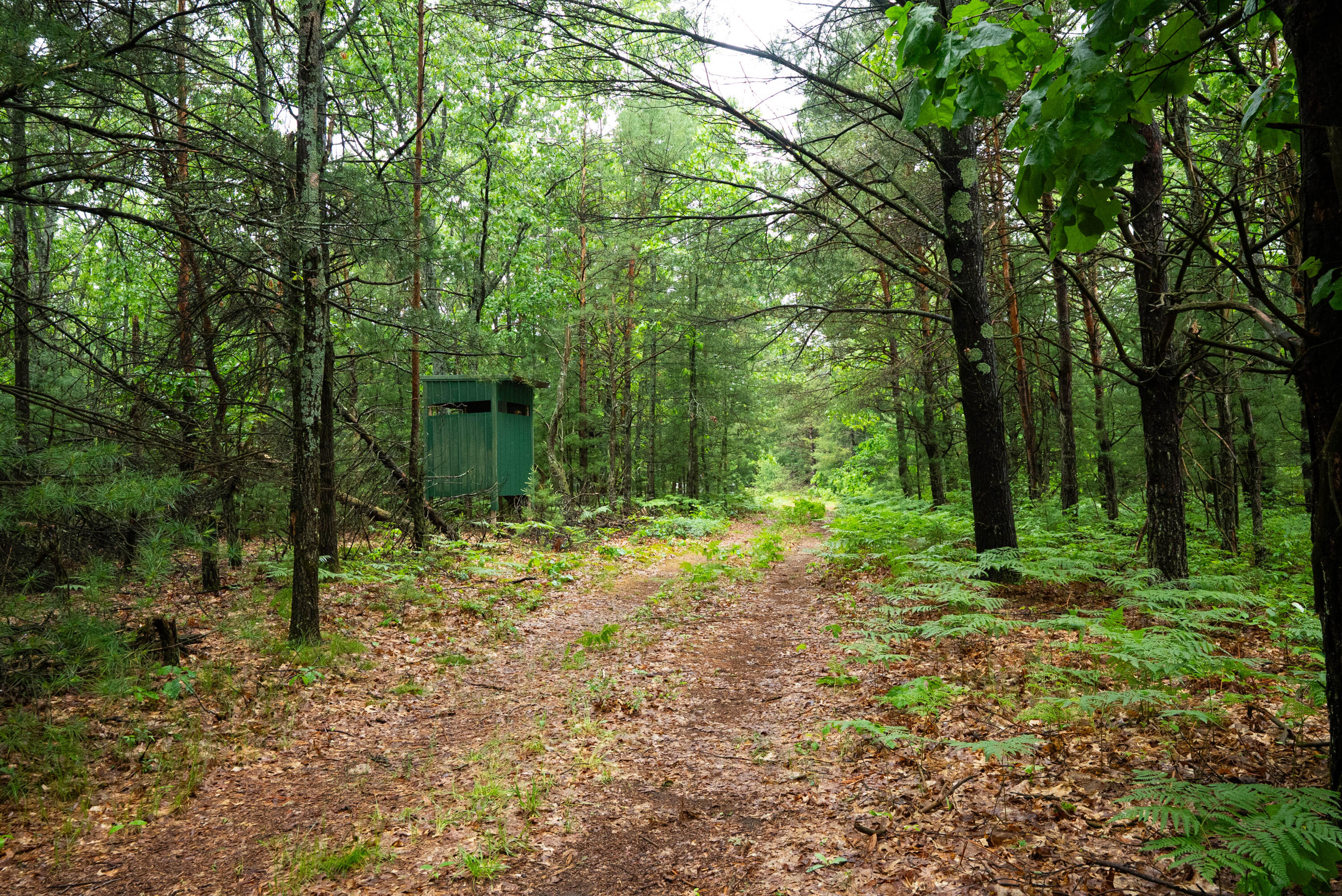 8.09 North A N Centerline Road White Cloud, MI 49349 - Photo 1 of 41 DSC00399
