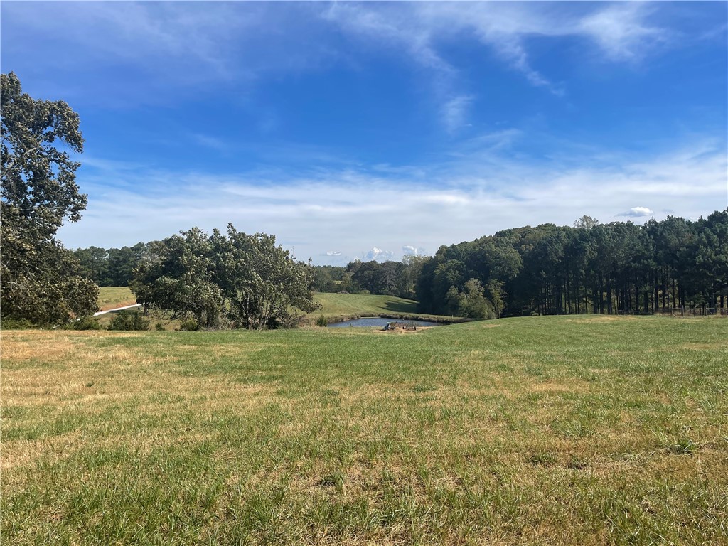 0 Country Junction Road West Union, SC 29696 - Photo 12 of 37