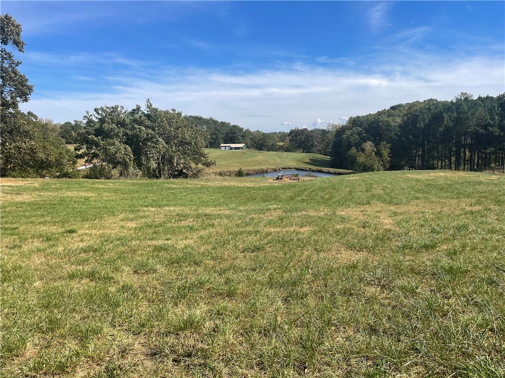 0 Country Junction Road West Union, SC 29696 - Photo 15 of 37