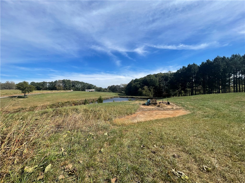 0 Country Junction Road West Union, SC 29696 - Photo 21 of 37