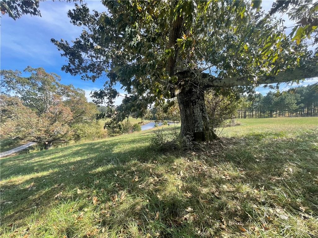 0 Country Junction Road West Union, SC 29696 - Photo 26 of 37
