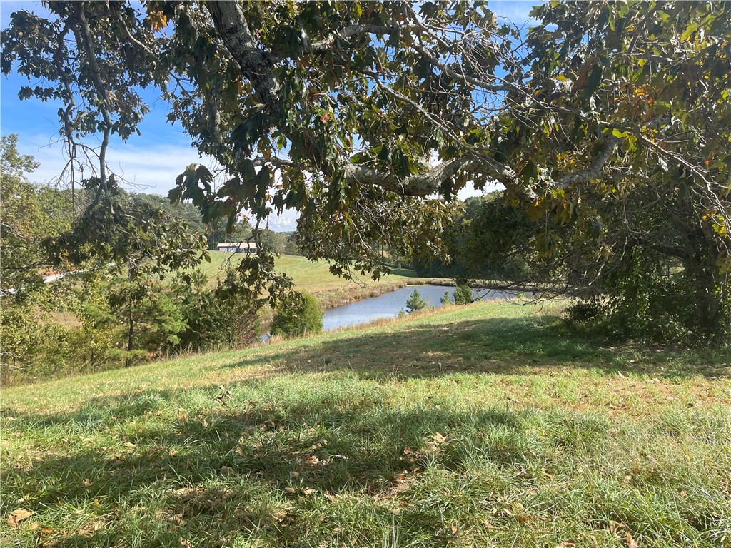 0 Country Junction Road West Union, SC 29696 - Photo 5 of 37