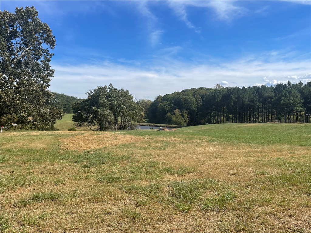 0 Country Junction Road West Union, SC 29696 - Photo 6 of 37