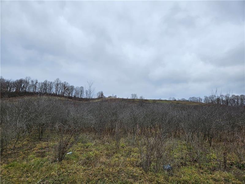 0 State Route 168 Darlington, PA 16115 - Photo 2 of 7 a view of lake