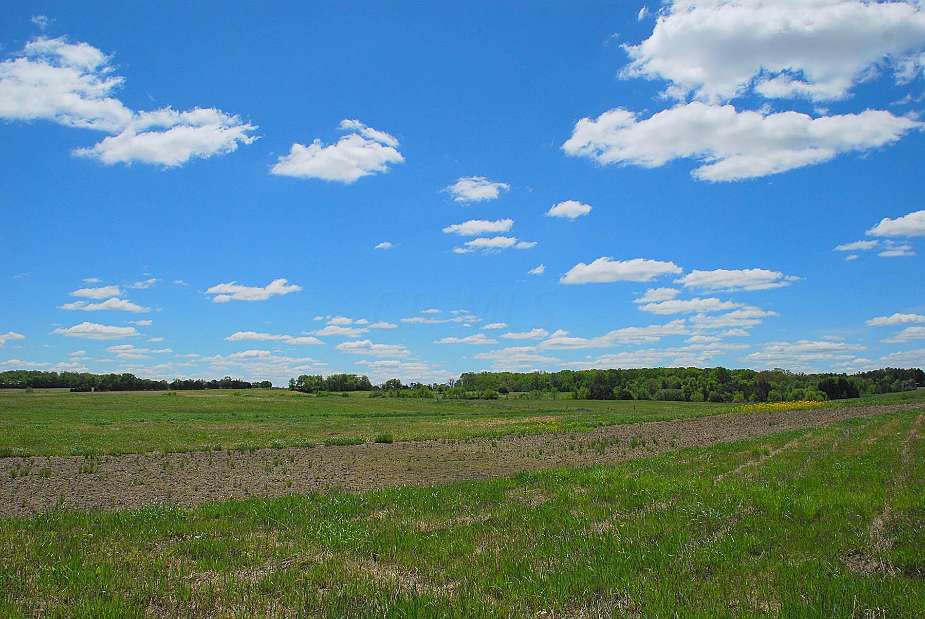 0 Hanover Road, Unit TRACT 10 Delaware, OH 43015 - Photo 7 of 9