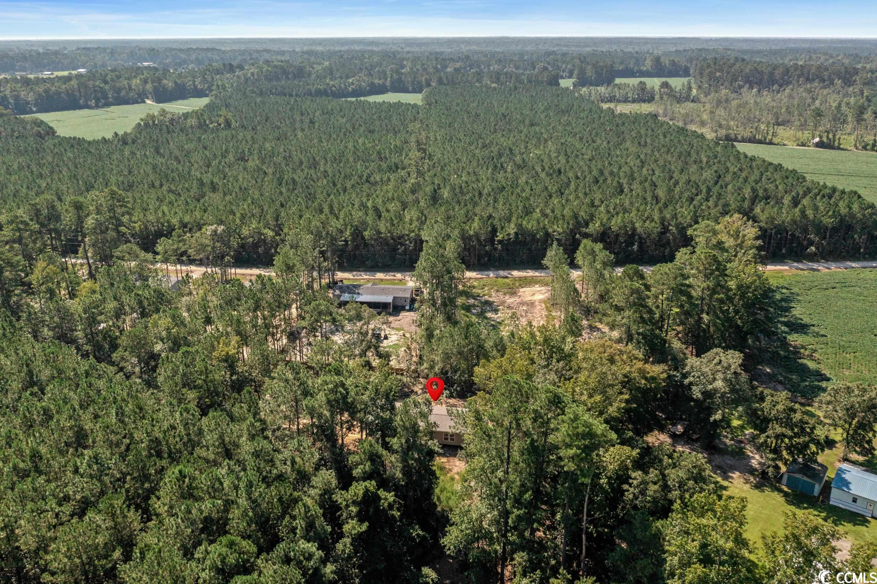5425 Carroll Todd Road Conway, SC 29526 - Photo 19 of 20 Gallery Image 19