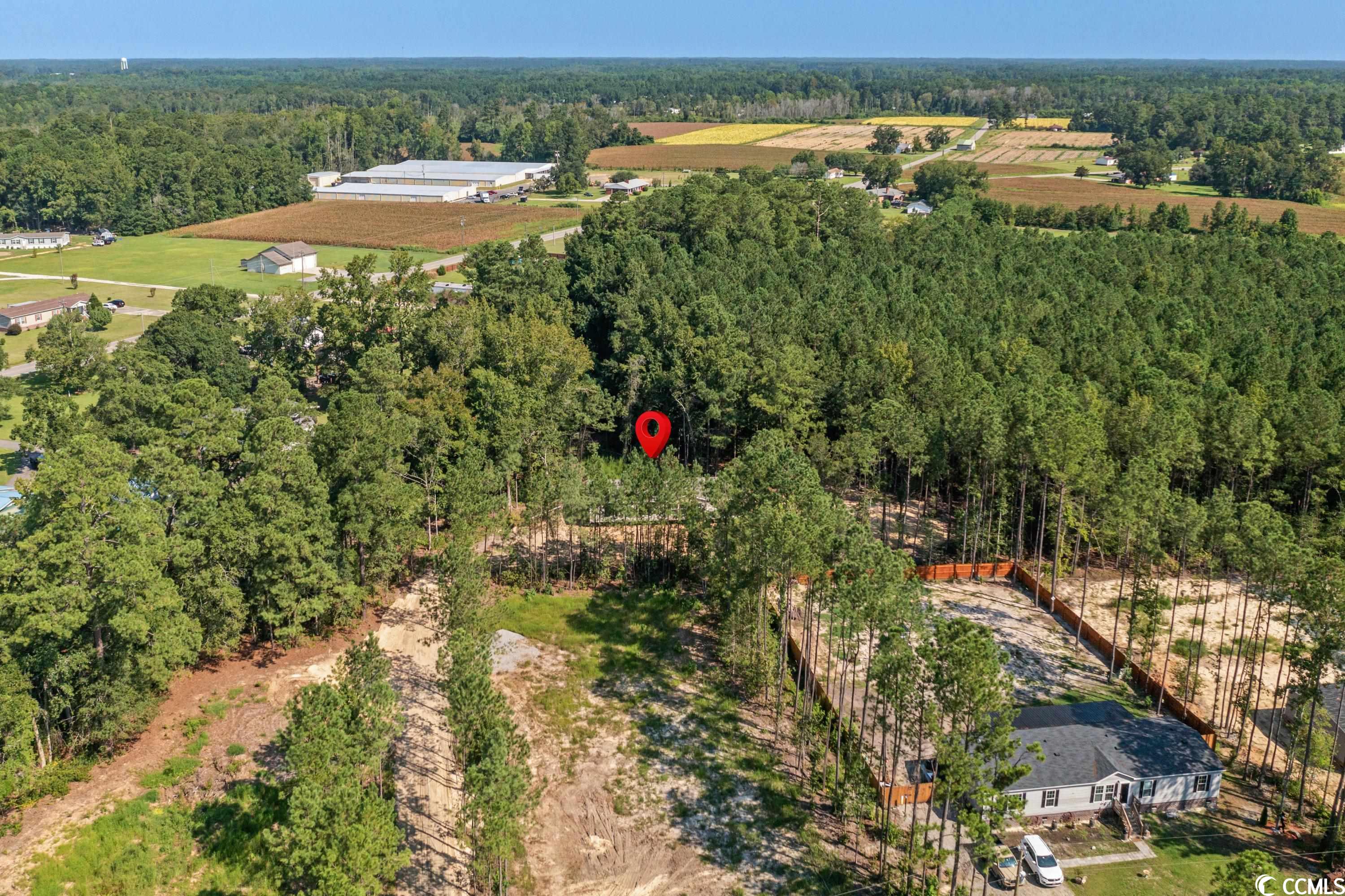 5425 Carroll Todd Road Conway, SC 29526 - Photo 20 of 20 Gallery Image 20