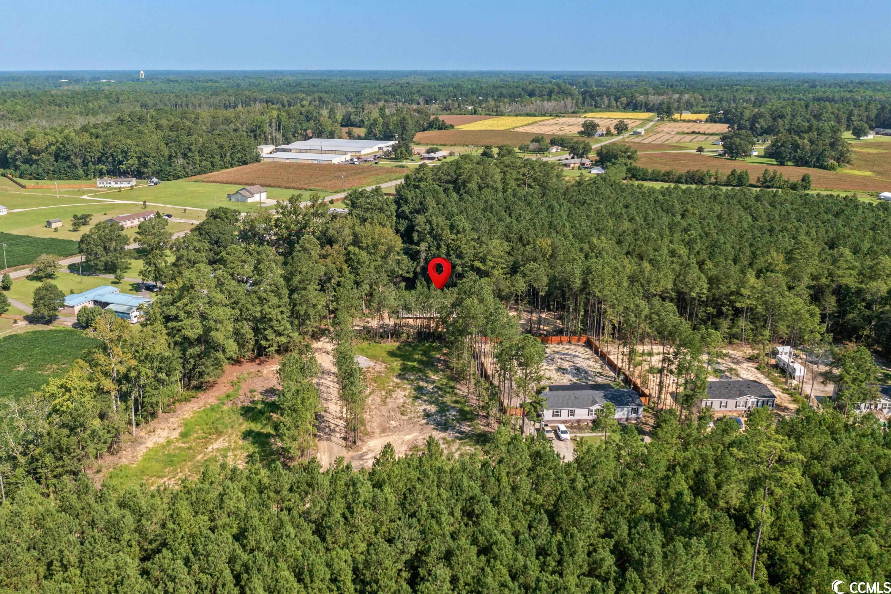 5425 Carroll Todd Road Conway, SC 29526 - Photo 2 of 20 Gallery Image 2
