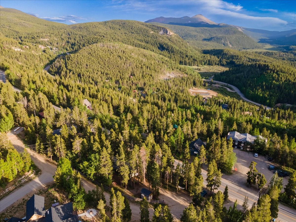 1981 Boreas Pass Road Breckenridge, CO 80424 - Photo 30 of 50