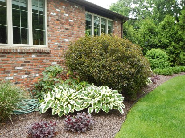 441 Trafton Road Springfield, MA 01108 - Photo 18 of 24