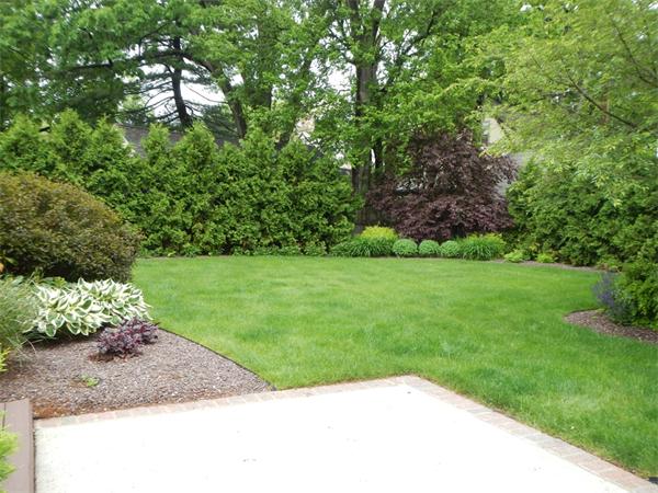 441 Trafton Road Springfield, MA 01108 - Photo 23 of 24