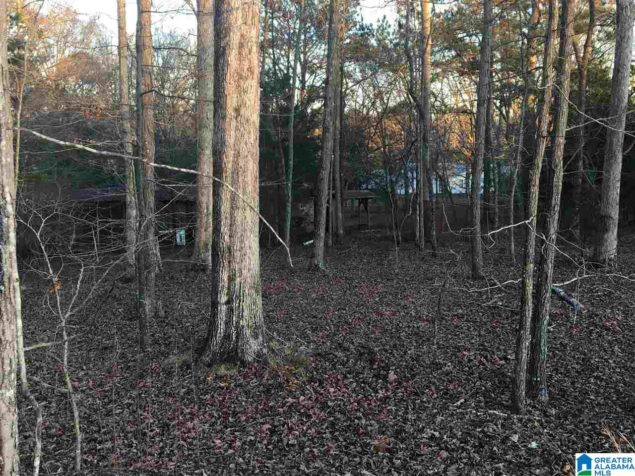 169 Saddle Club Road Jacksonville, AL 36265 - Photo 8 of 12