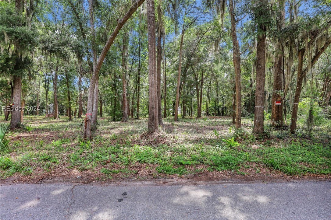 25 Maiden Lane Bluffton, SC 29910 - Photo 13 of 19