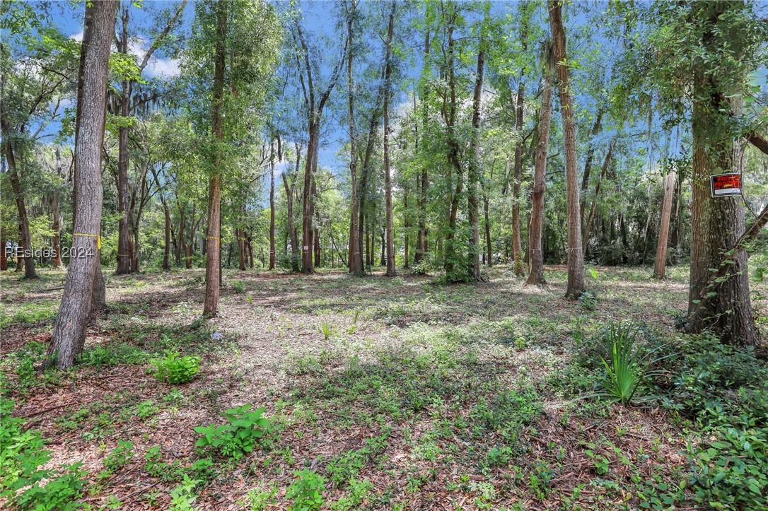 25 Maiden Lane Bluffton, SC 29910 - Photo 8 of 19