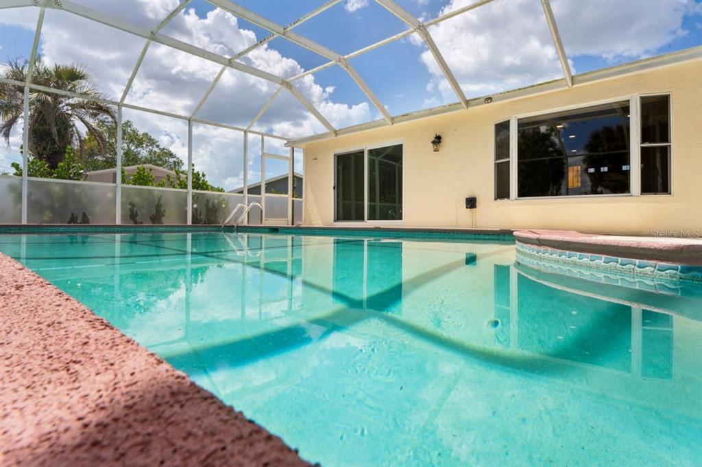 6955 Bottle Brush Drive Port Richey, FL 34668 - Photo 38 of 61 a view of a backyard
