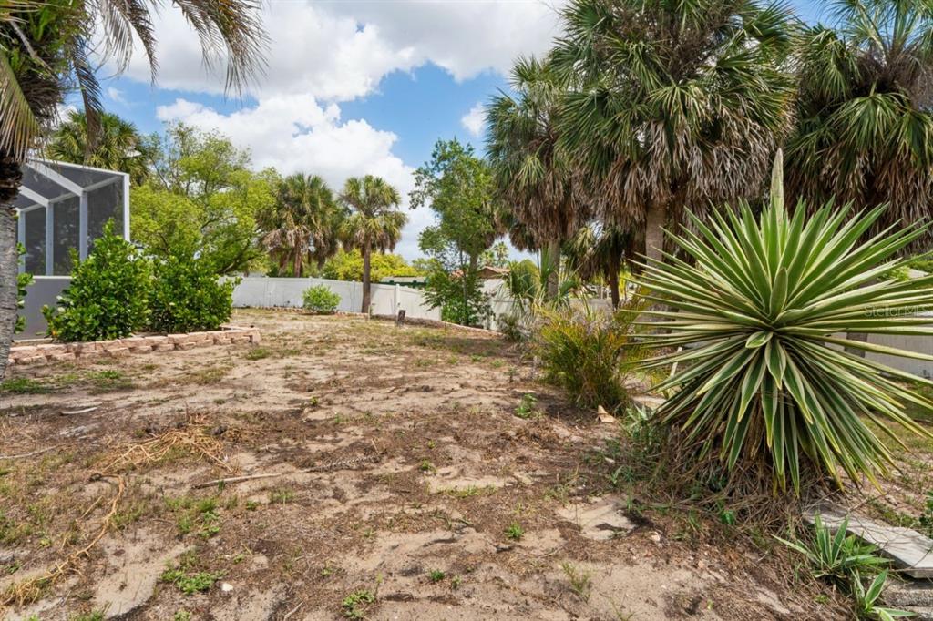 6955 Bottle Brush Drive Port Richey, FL 34668 - Photo 44 of 61 a row of palm trees in front of a house