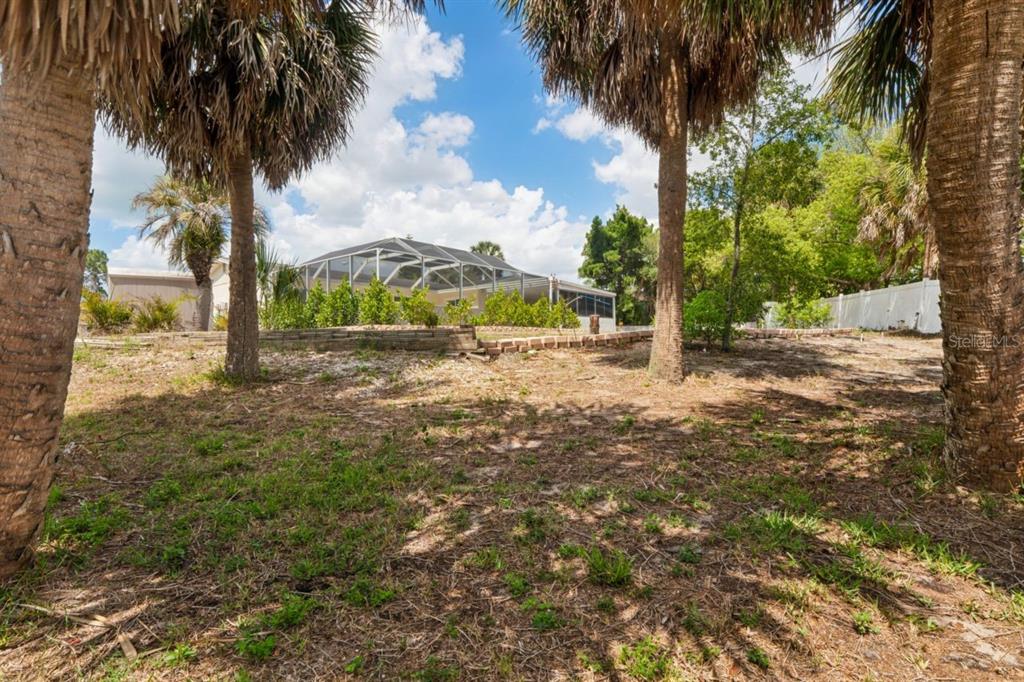 6955 Bottle Brush Drive Port Richey, FL 34668 - Photo 45 of 61 a view of a yard with palm trees