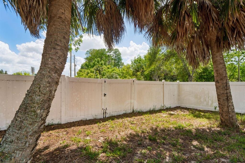 6955 Bottle Brush Drive Port Richey, FL 34668 - Photo 46 of 61
