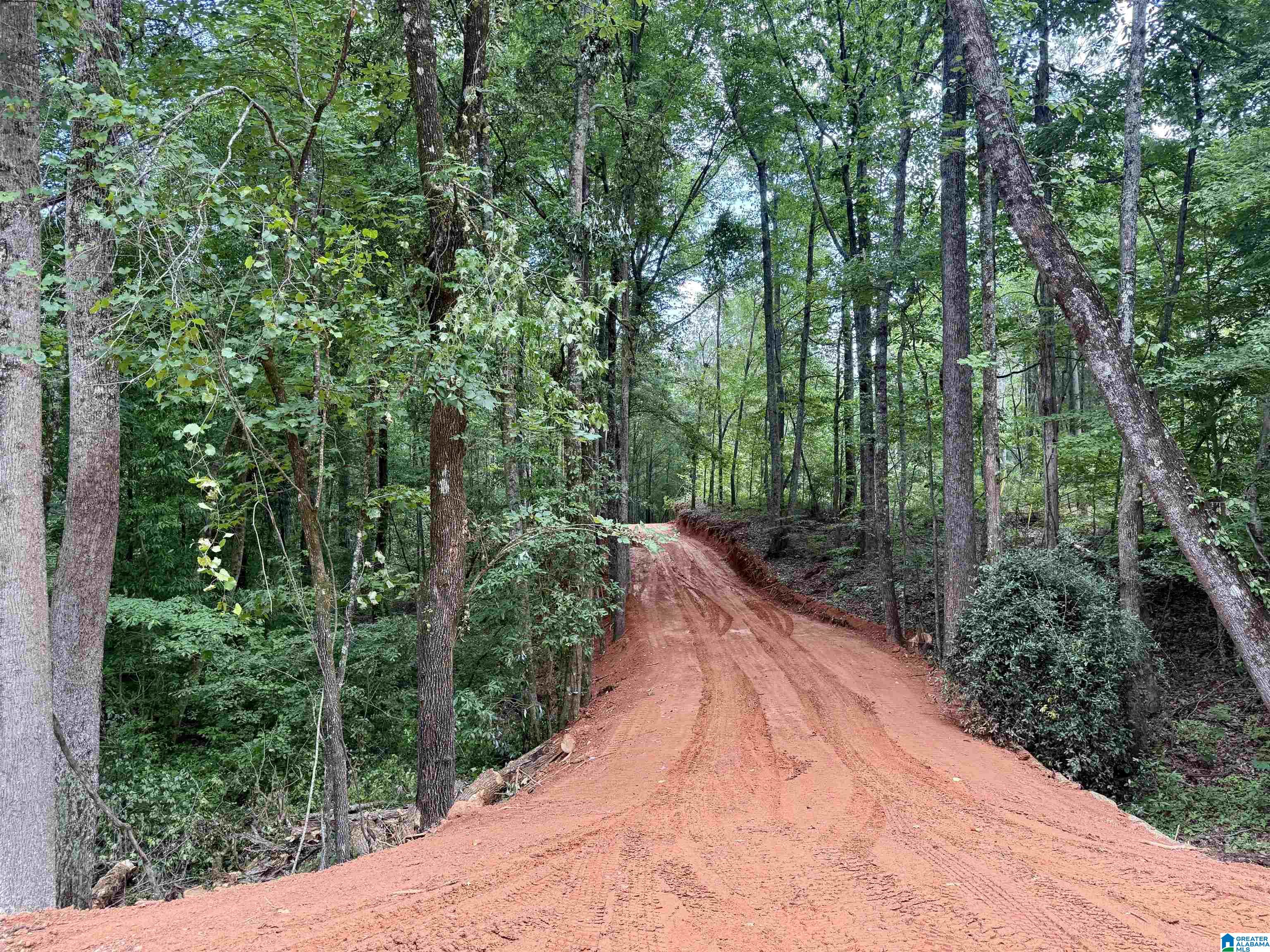 0 Settlement Road Sylacauga, AL 35150 - Photo 8 of 16