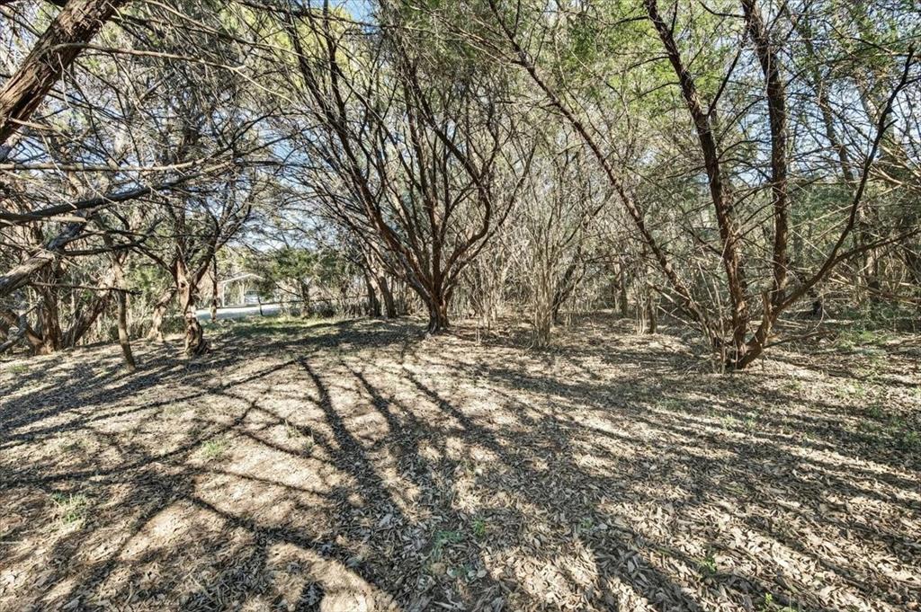 1706 Hitching Post Road Granbury, TX 76049 - Photo 35 of 40 a view of empty yard