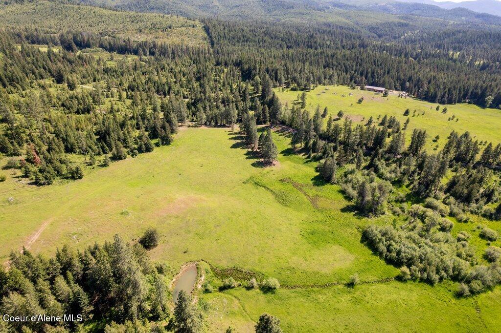 Nka Waddell Road St. Maries, ID 83861 - Photo 6 of 22 006-nkanextto1312WaddellRoad-SaintMaries