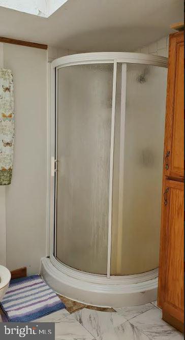 15 Woods End Road Dover, DE 19901 - Photo 13 of 13 Larger master shower