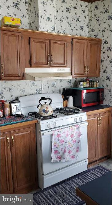 15 Woods End Road Dover, DE 19901 - Photo 8 of 13 one side of kitchen